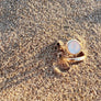 Megen Gabrielle Jewelry | mother of pearl ring. 14K gold fill mother of pearl ring. pearl ring. 14K gold fill ring. 14K gold fill pearl ring. classic pearl ring. natural pearl ring, 14k gold fill. gold pearl ring. gold pearl ring for women. quality pearl ring for women. 14k gold filled ring for women. gold pearl jewelry. gold rings for ladies. gold rings with pearl.
